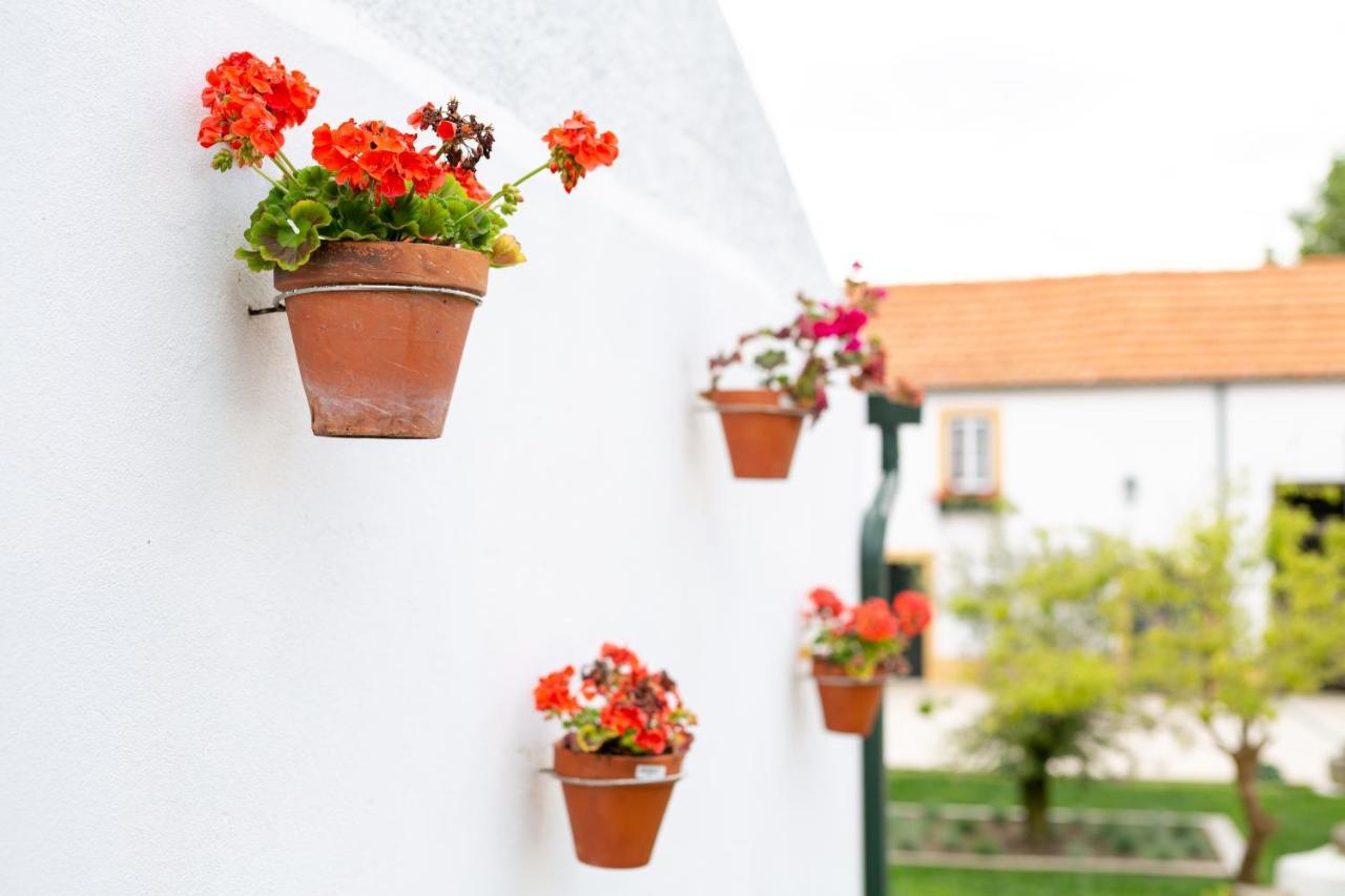 Casa D'Oliveira Bed & Breakfast Aveiro Luaran gambar